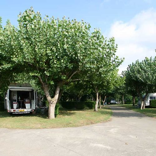 Alegera camping 3 étoiles au Pays basque à Espelette