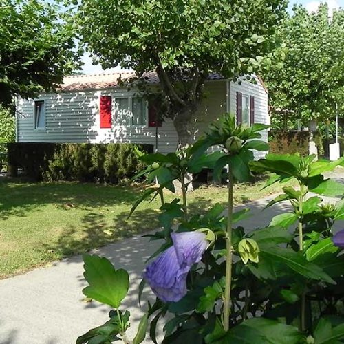 Camping Alegera au Pays basque à Souraïde Espelette propose la location de mobil-home pour vacances ou curistes de cambo les bains